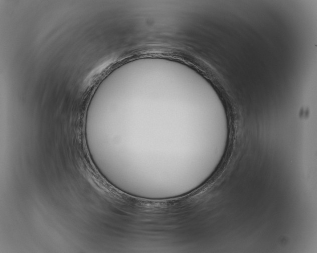 X0000110731403200906121300