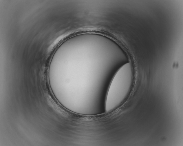 X0000110731404200906121300
