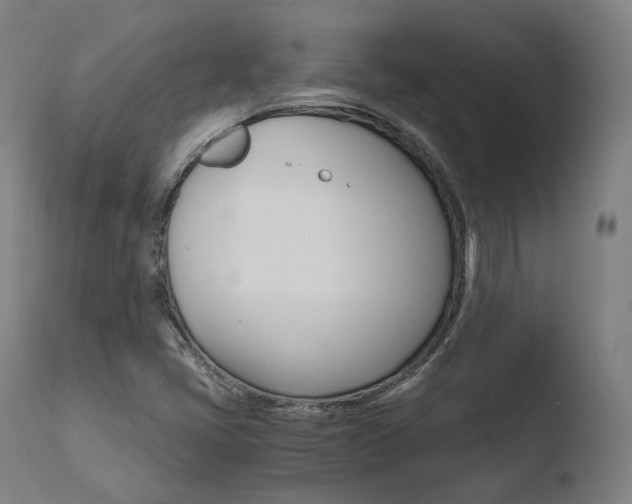 X0000110731405200906121300