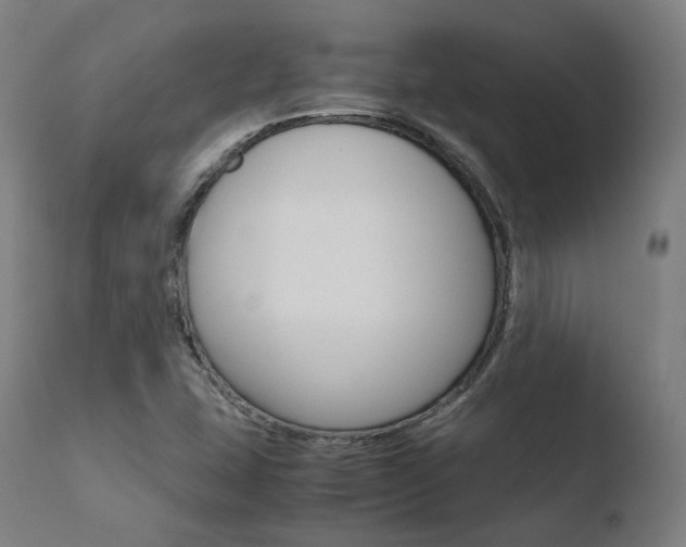 X0000110731407200906121300