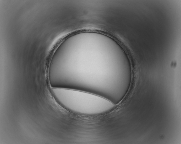 X0000110731408200906121300
