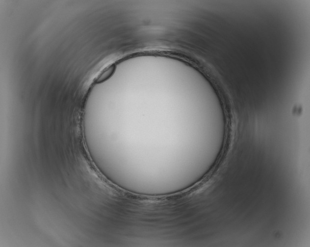 X0000110731409200906121300