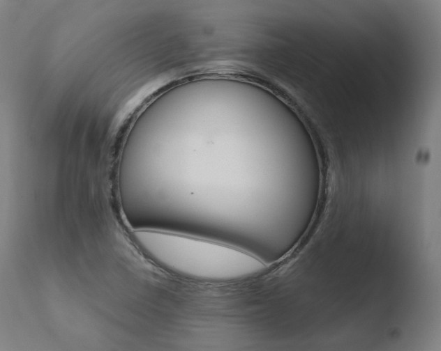 X0000110731410200906121300