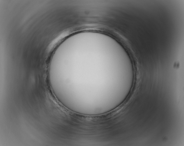 X0000110731411200906121300