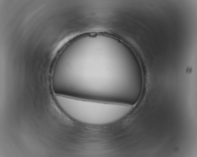 X0000110731412200906121300