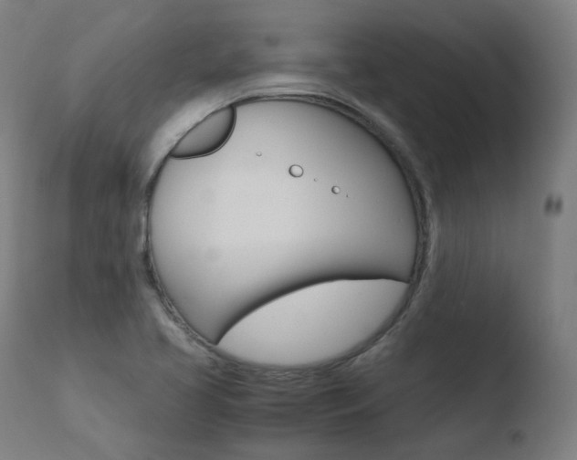 X0000110731413200906121300
