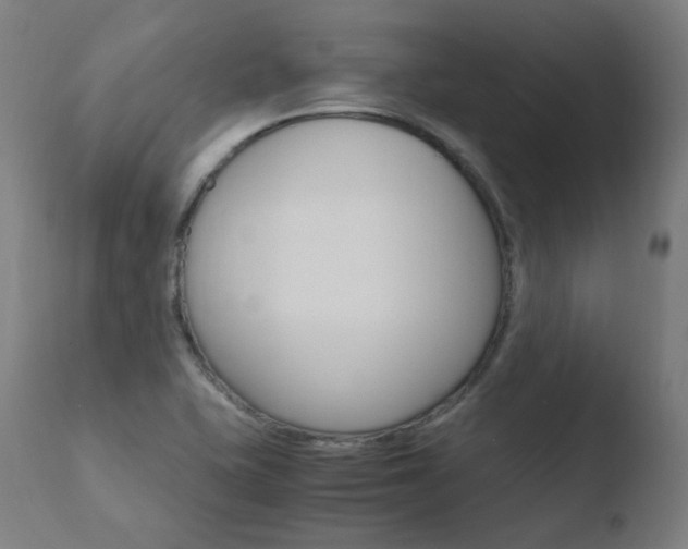 X0000110731415200906121300
