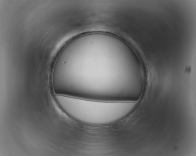 X0000110731416200906121300