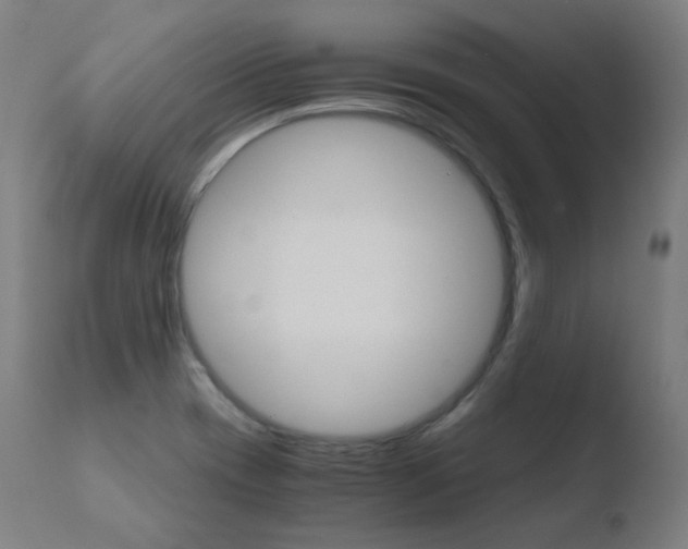 X0000110731417200906121300