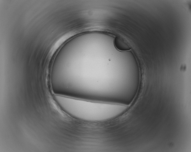 X0000110731418200906121300