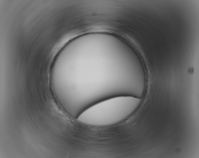 X0000110731419200906121300