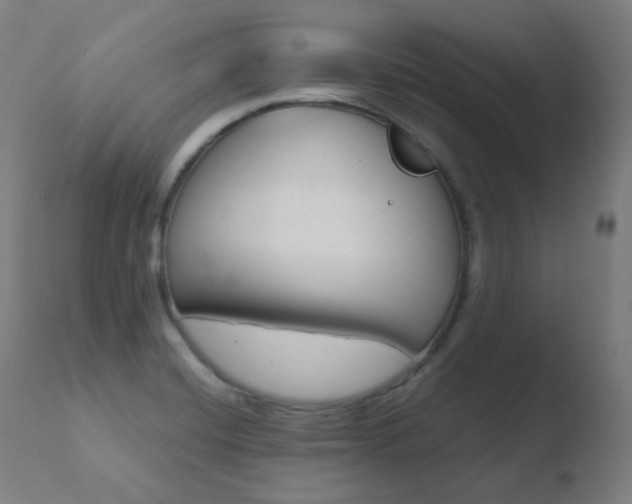 X0000110731420200906121300