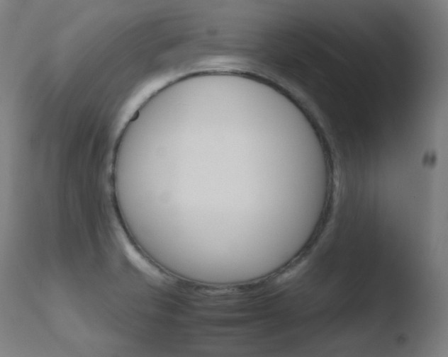 X0000110731421200906121300