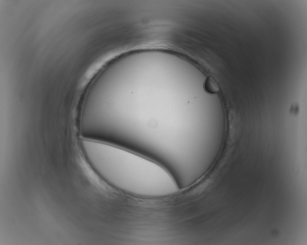 X0000110731422200906121300
