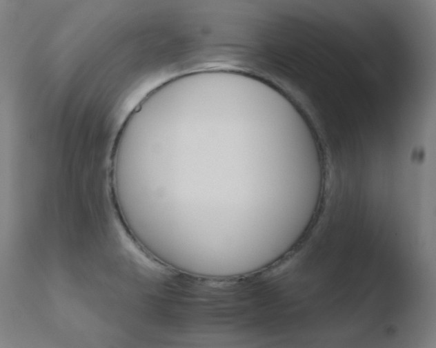 X0000110731423200906121300