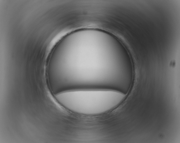 X0000110731424200906121300