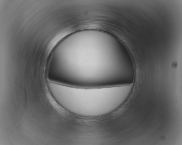X0000110731426200906121300