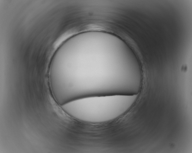 X0000110731427200906121300