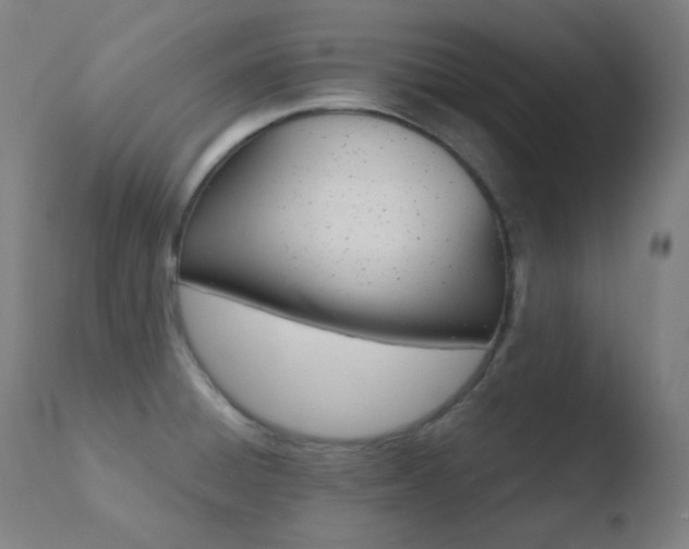 X0000110731428200906121300