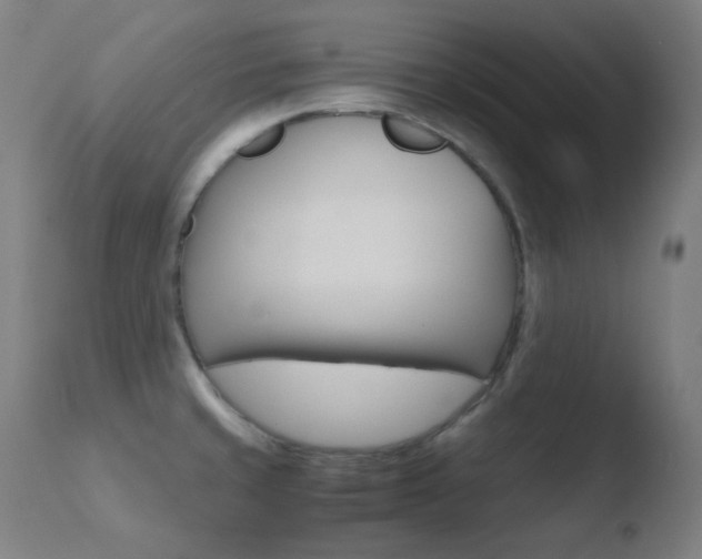 X0000110731429200906121300