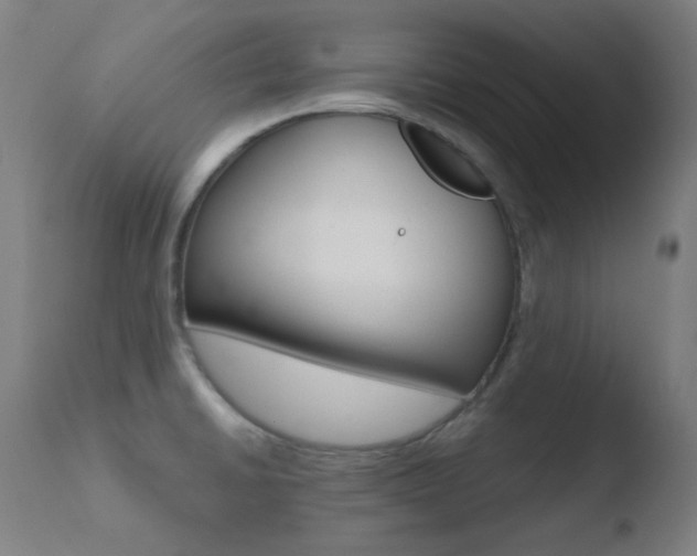 X0000110731430200906121300