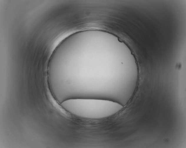X0000110731431200906121300