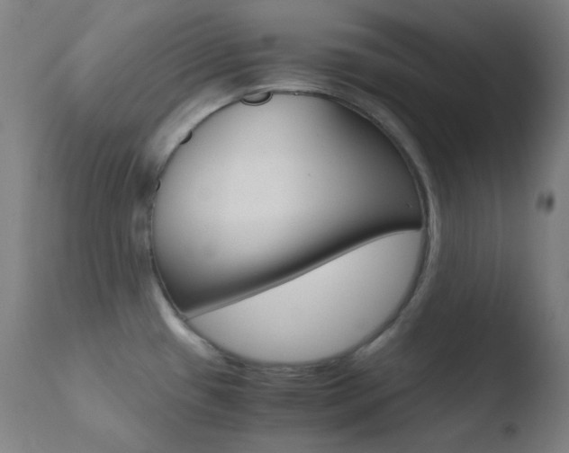 X0000110731433200906121300