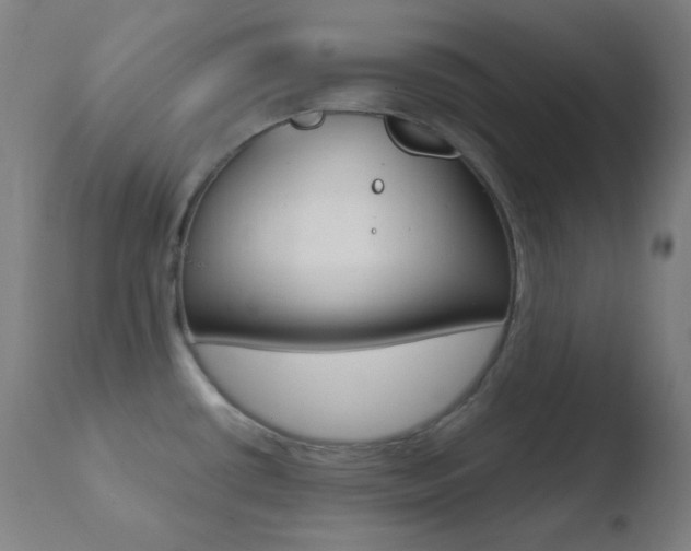 X0000110731434200906121300