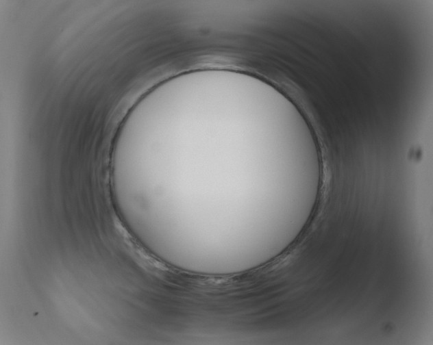 X0000110731435200906121300