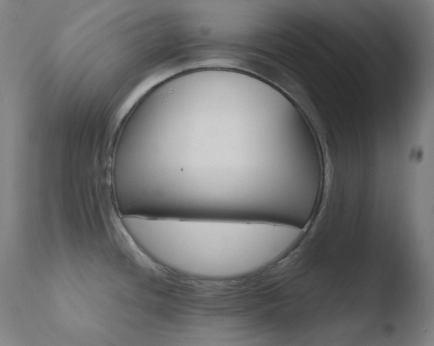 X0000110731436200906121300