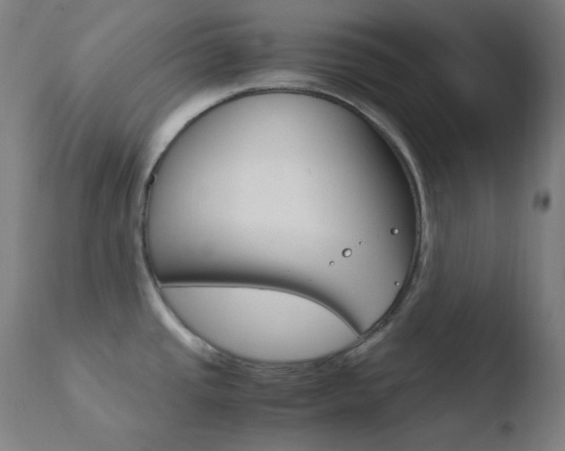 X0000110731437200906121300