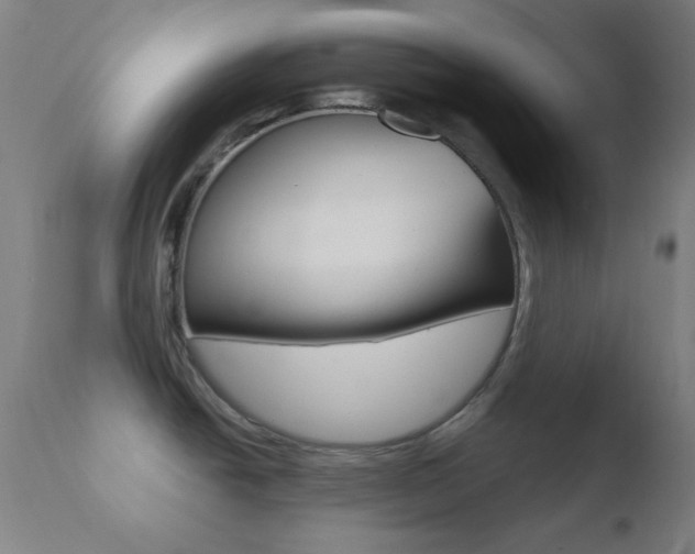 X0000110731438200906121300