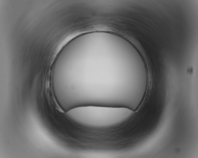 X0000110731439200906121300
