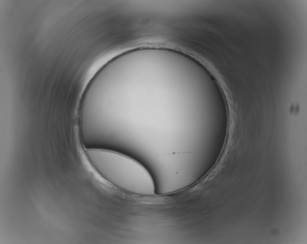 X0000110731440200906121300