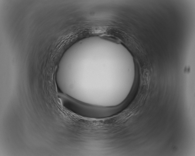 X0000110731441200906121259