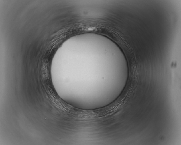 X0000110731442200906121259