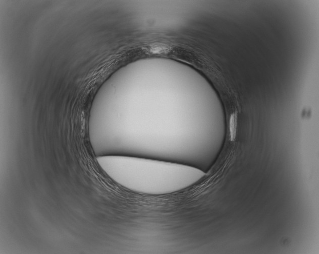 X0000110731443200906121259