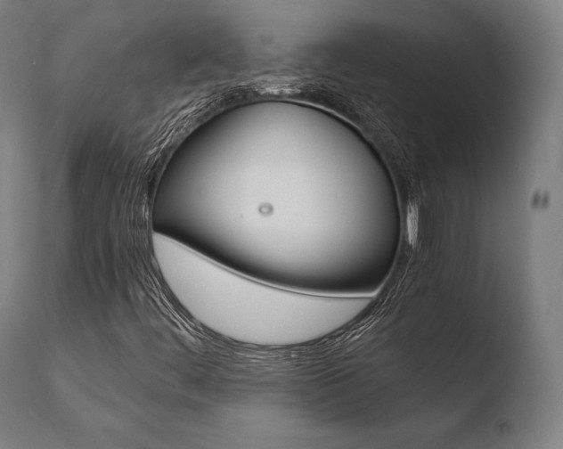 X0000110731444200906121259