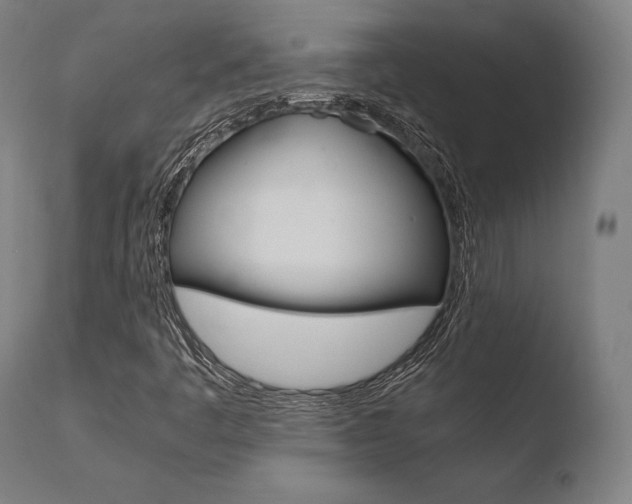 X0000110731445200906121259