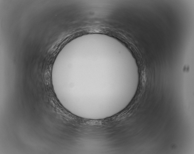 X0000110731446200906121259