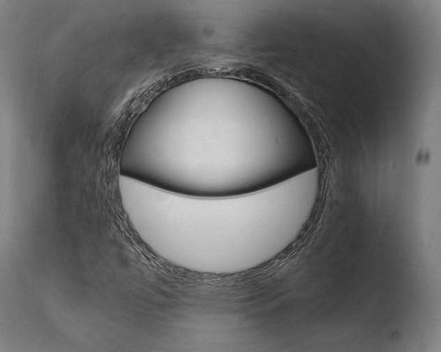 X0000110731447200906121259