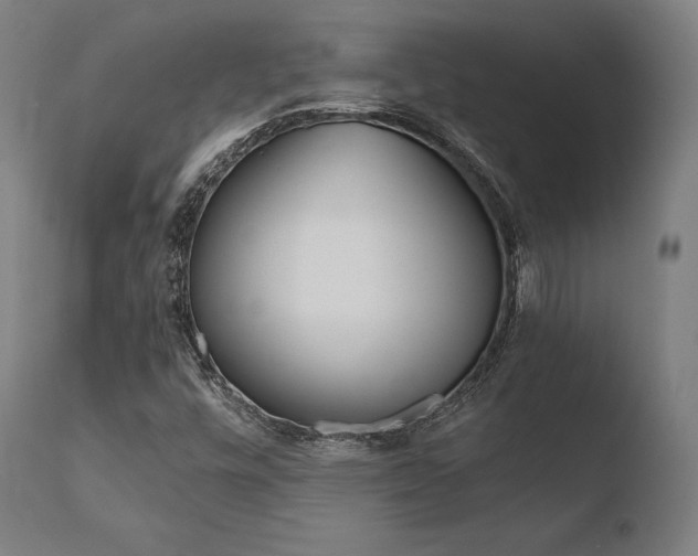 X0000110731448200906121259