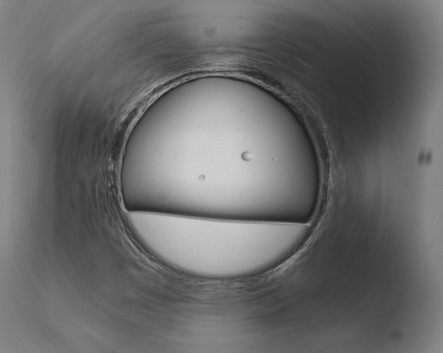 X0000110731449200906121259