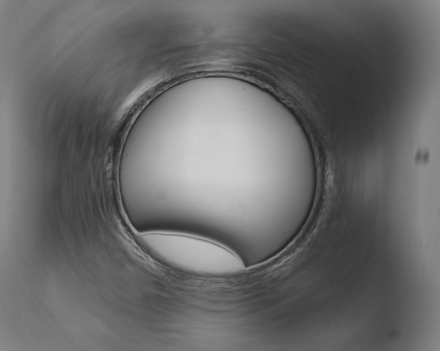 X0000110731450200906121259