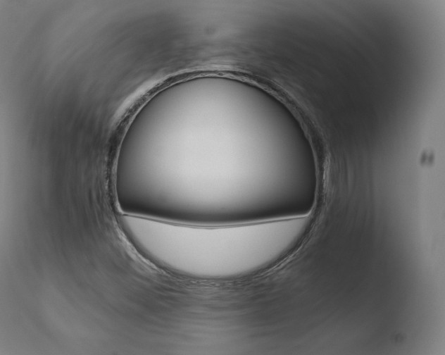 X0000110731452200906121259