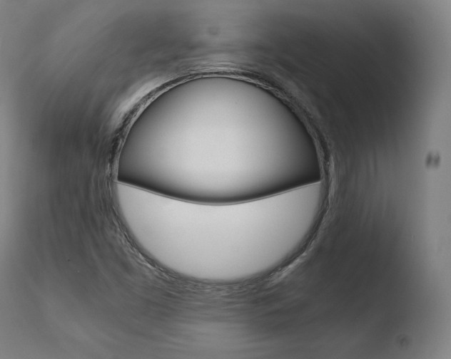 X0000110731453200906121259