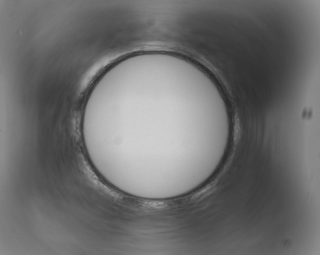 X0000110731454200906121259