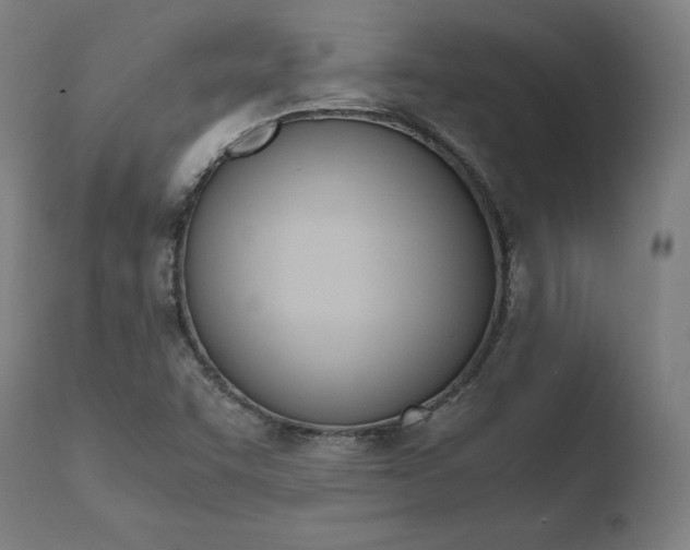 X0000110731455200906121259
