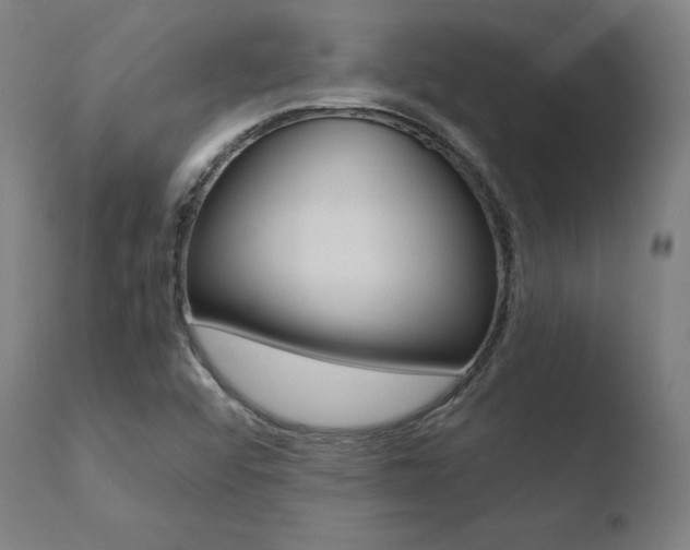 X0000110731456200906121259