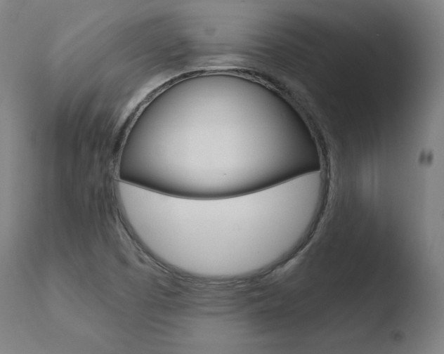X0000110731457200906121259